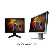 Eizo FlexScan S2100 (29332)